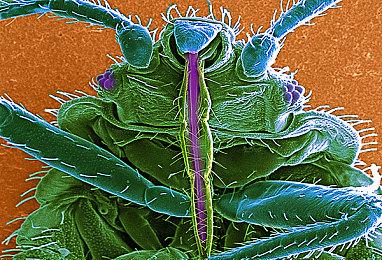 switch《EA Sports FC 24》首次用上寒霜引擎